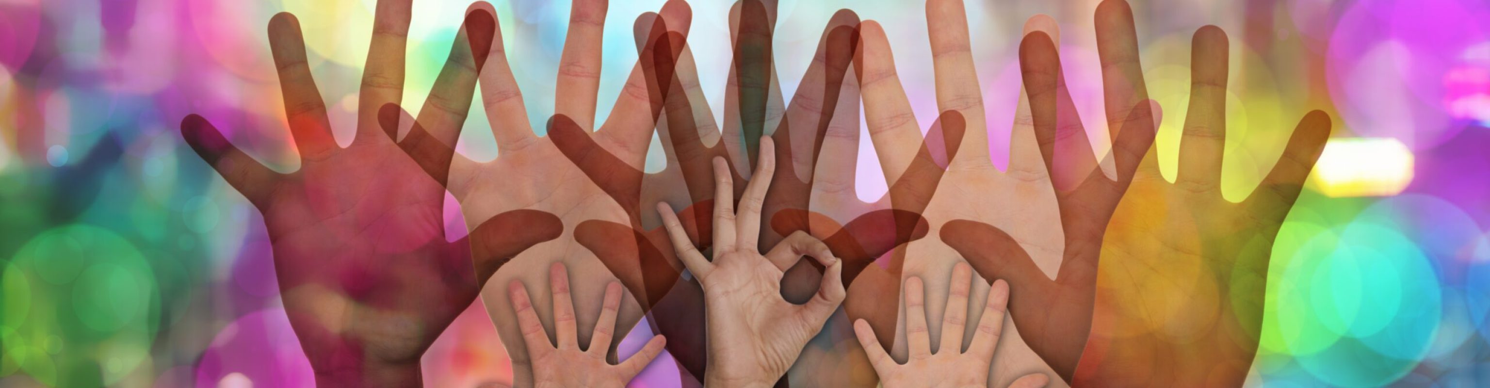 volunteer-2654004 volunteer-2654004